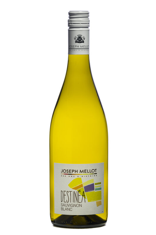 © Joseph Mellot mit freundlicher Genehmigung Joseph Mellot | Sauvignon Destinea