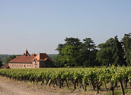 Château de la Jousselinière | Chopn | Muscadet de Sèvre et Maine sur lie