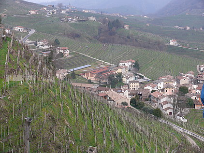 Vigna Dogarina | Campodipietra | Veneto | Prosecco
