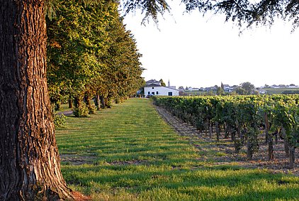 Château Belles Graves | Lalande de Pomerol | Xavier Piton