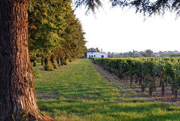 © Château Belles Graves mit freundlicher Genehmigung Château Belles Graves | Lalande de Pomerol | Xavier Piton