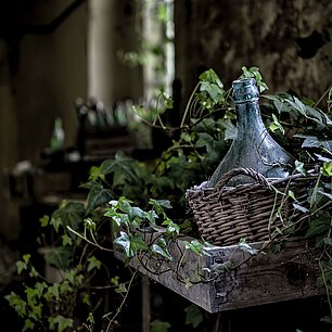 Casa Vinicola Botter | Tor de Colle | Brindisi Riserva