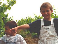 Chateau Mesclances Cotes de Provence rosé