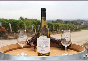 Domaine des Chaumes | Bardin | Sancerre | Pouilly Fume