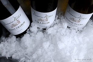 Domaine Millet | Chablis