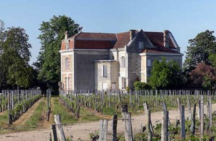 Chateau Cantenac | Saint Emilion Grand Cru