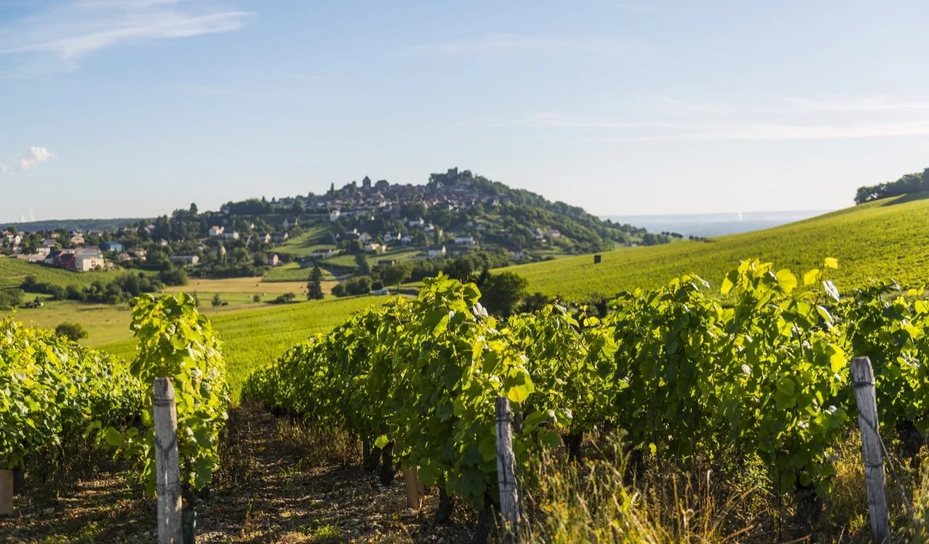 © Joseph Mellot mit freundlicher Genehmigung Joseph Mellot | Sancerre | Pouilly Fumé